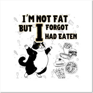 Cat i am mot fat but i forgot i had eaten Posters and Art